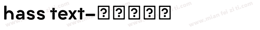 hass text字体转换
